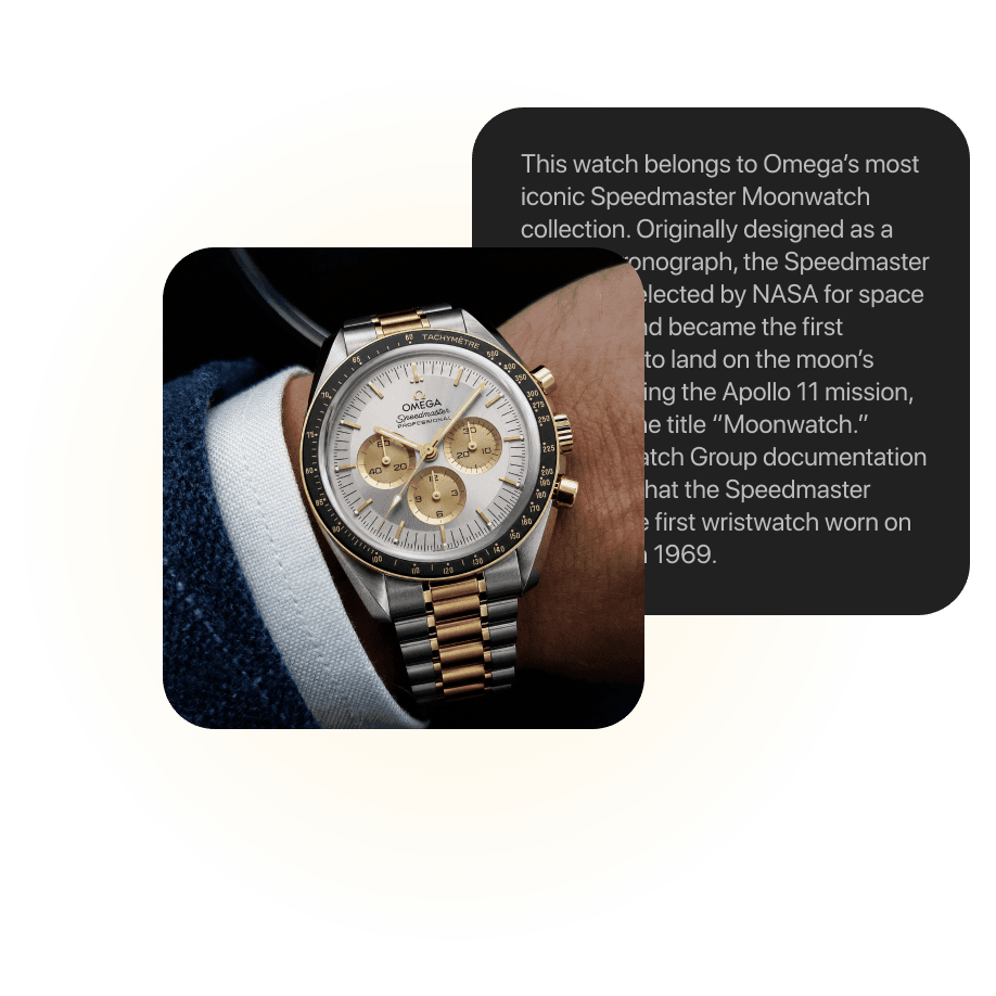 WatchID identifying an Omega Speedmaster from a photo